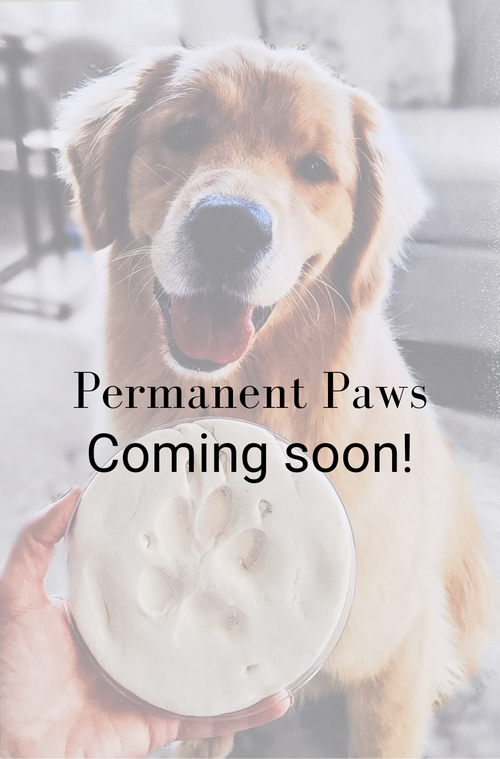 Dog paw print impression being held in front of a Golden Retriever with "Permanent Paws Coming Soon!" text overlay