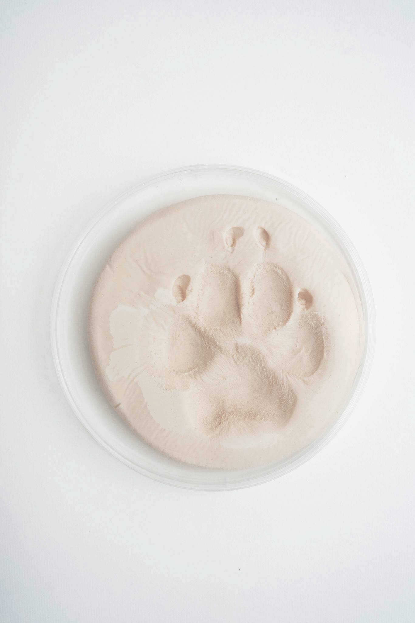 A circular impression compound mold containing a pale beige paw print impression for Permanent Paws, photographed from above on a clean white background.